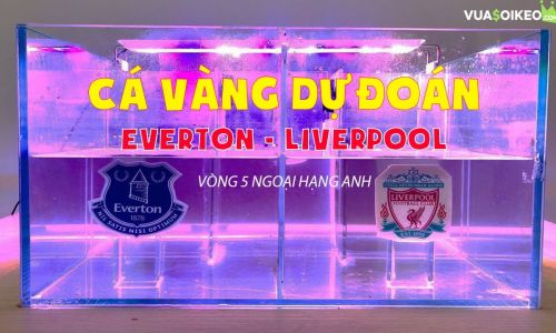 Cá vàng tiên đoán Everton vs Liverpool, 18h30 ngày 17/10/2020 – Ngoại hạng Anh