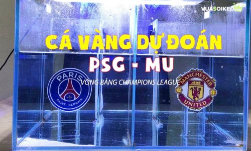 Cá vàng tiên đoán PSG vs MU, 02h00 ngày 21/10/2020 – Champions League