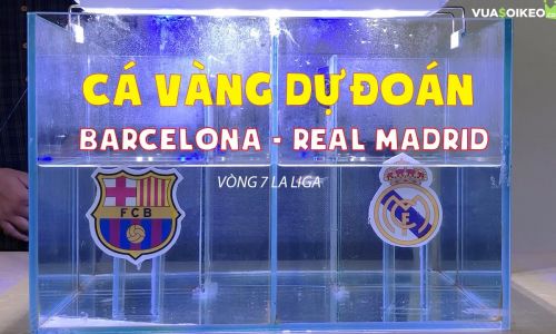 Cá vàng tiên đoán Barcelona vs Real Madrid, 21h00 ngày 24/10/2020 – La Liga