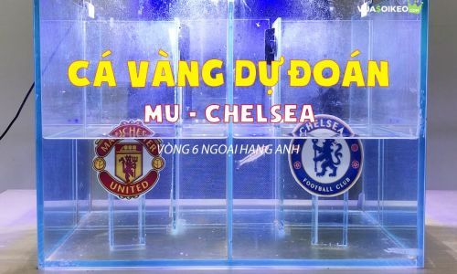 Cá vàng tiên đoán MU vs Chelsea, 23h30 ngày 24/10/2020 – Ngoại hạng Anh