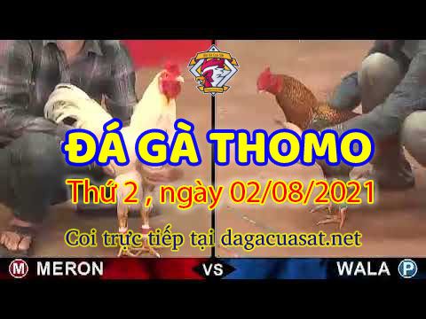 Link xem Daga Live Hôm Nay 2/8/2021