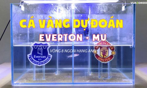 Cá vàng tiên đoán Everton vs MU, 19h30 ngày 7/11/2020 – Ngoại hạng Anh