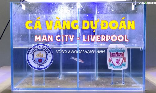 Cá vàng tiên đoán Man City vs Liverpool, 23h30 ngày 8/11/2020 – Ngoại hạng Anh