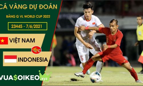 Cá vàng tiên đoán Việt Nam vs Indonesia, 23h45 ngày 7/6/2021 - Bảng G VL World Cup 2022