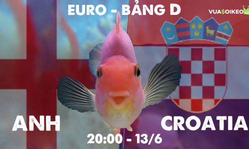 Cá vàng tiên đoán Anh vs Croatia, 20h00 ngày 13/6/2021 - Bảng D EURO 2020