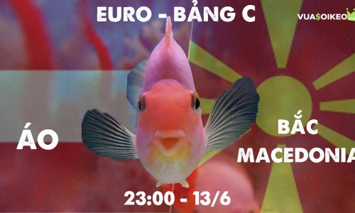 Cá vàng tiên đoán Áo vs Bắc Macedonia, 23h00 ngày 13/6/2021 - Bảng C EURO 2020