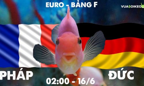 Cá vàng tiên đoán Pháp vs Đức, 02h00 ngày 16/6/2021 - Bảng F EURO 2020