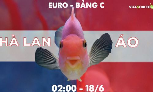 Cá vàng tiên đoán Hà Lan vs Áo, 02h00 ngày 18/6/2021 - Bảng C EURO 2020