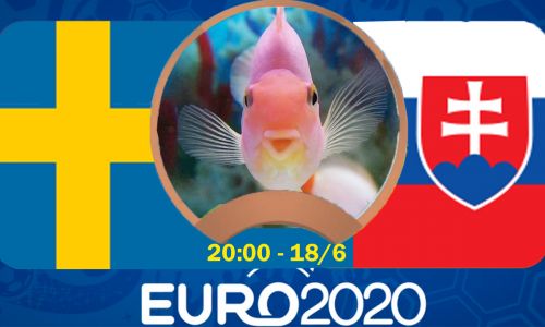 Cá vàng tiên đoán Thụy Điển vs Slovakia, 20h00 ngày 18/6/2021 - Bảng E EURO 2020
