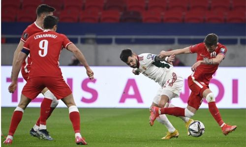 Soi kèo, dự đoán Ba Lan vs Hungary, 2h45 ngày 16/11 Vòng loại World Cup
