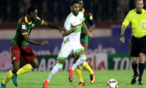 Soi kèo, dự đoán Algeria vs Cameroon, 2h30 ngày 30/3 Vòng Loại World Cup