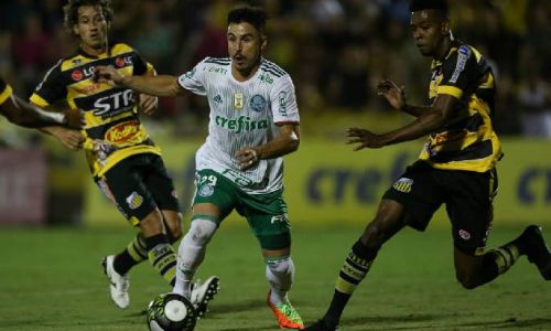 Soi kèo, dự đoán Palmeiras vs Deportivo Tachira, 07h30 ngày 25/05 Copa Libertadores.