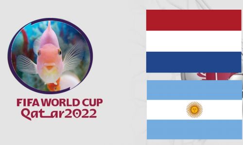 Cá vàng tiên đoán Hà Lan vs Argentina, 2h00 ngày 10/12 – Tứ kết World Cup 2022