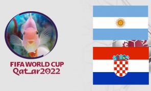 Cá vàng tiên đoán Argentina vs Croatia, 02h00 ngày 14/12 – Bán kết World Cup 2022