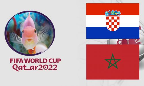 Cá vàng tiên đoán Croatia vs Morocco, 22h00 ngày 17/12 – Tranh hạng Ba World Cup 2022