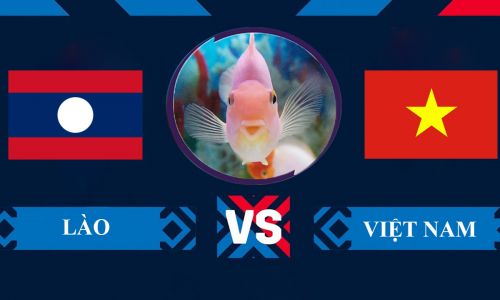 Cá vàng tiên đoán Lào vs Việt Nam, 19h30 ngày 21/12 – Bảng B AFF Cup 2022