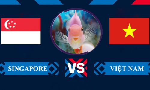 Cá vàng tiên đoán Singapore vs Việt Nam, 19h30 ngày 30/12 – Bảng B AFF Cup 2022